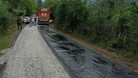 Ordu’nun Korgan ilçesinde Tepealan-Çitlice-Belalan bağlantı yolunda asfalt çalışması başladı